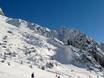 Skigebieden voor gevorderden en off-piste skiërs Außerfern – Gevorderden, off-piste skiërs Ehrwalder Alm – Ehrwald