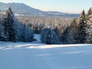 Rechter afdaling door de bosstrook