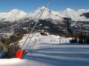 Lansbesneeuwing langs de pistes