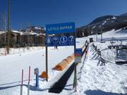 Little Ripper Carpet - Transportband/Moving Carpet