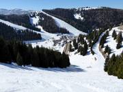 Moeilijke piste Variante Rainer