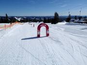 Tip voor de kleintjes 