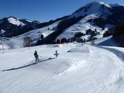Hexenwellen & Red Viper Ski-/Boardercross (Söll)