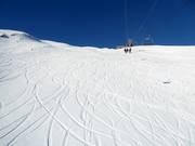 Freeriden is bijna overal mogelijk