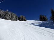 Moeilijke piste nr. 5 Bort direkt