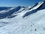 Veel vrije skiruimte boven de boomgrens