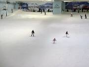 De piste in het bovenste gedeelte