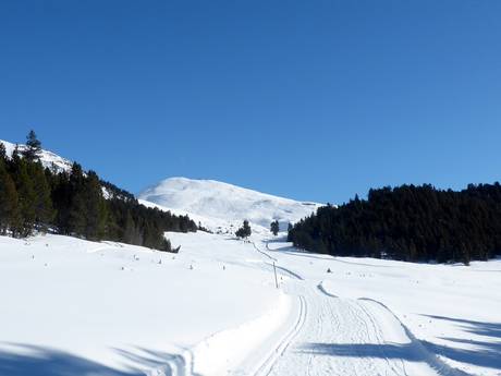 Langlaufen Sesvennagroep – Langlaufen Minschuns – Val Müstair-Tschierv
