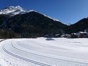 Langlaufloipes in Santa Caterina Valfurva