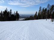 Piste Fridabranten nr. 12