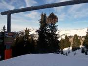 Bosafdaling The Stash