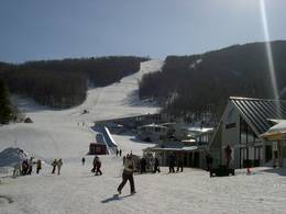 Sugarbush