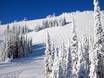 Skigebieden voor gevorderden en off-piste skiërs Thompson Okanagan – Gevorderden, off-piste skiërs Sun Peaks