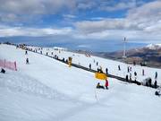 Oefenweide met transportbanden
