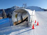 Tapis des Chaux - Overdekt(e) transportband/Moving Carpet