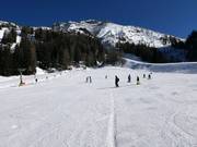 Ruim beginnersgebied Kaserwald