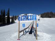 Discovery Carpet - Transportband/Moving Carpet