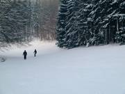 Makkelijke afdaling bij de Hirtenteichlift
