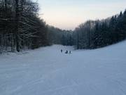 Makkelijke afdaling bij de Hirtenteichlift