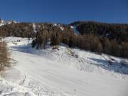 Gemakkelijke piste Campo Scuola Scoiattolo