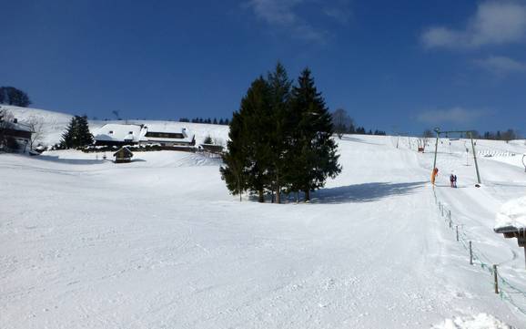 Beste skigebied in het Dreisamtal – Beoordeling Schauinsland – Hofsgrund