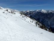 Uitzicht op de hellingen bij de Loser Alm