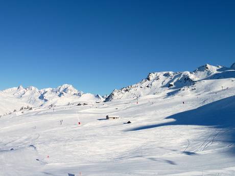 Paradiski: Grootte van de skigebieden – Grootte Les Arcs/Peisey-Vallandry (Paradiski)