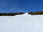 Extreem brede piste Eldorado