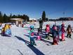 Maya-de-Bij-land van skischool Kreischberg