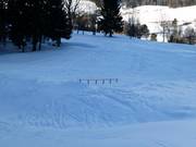 Snowpark Rinn