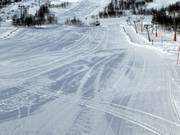 Beginnersgebied bij de sleepliften Mikkel en Mikkeline