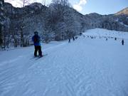 Babylift Streidlhang