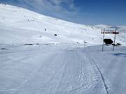 Gemakkelijke piste Fjällräven