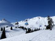 Combilift Geils-Hahnenmoos