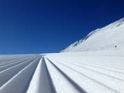 De groeven die de wereld betekenen!