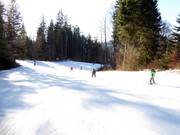Gezinnen en kinderen houden van de makkelijke pistes