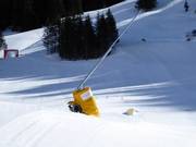 Lansbesneeuwing in het Kinderland