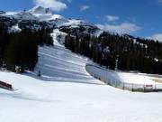 De afdaling naar de alm eindigt bij de Gamsjet