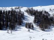 Buckelpistes bij de Speiereck