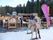 Après-skitip Gamsstadl