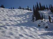 Perfecte buckelpiste