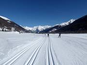 Heerlijke loipes in Goms