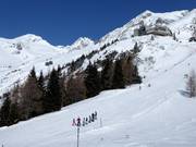 Dalafdaling vanaf de Ankogel