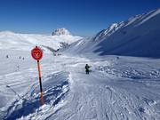 Kogel-Mogel Wellenbaan