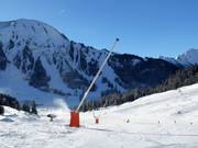 Lanzenbesneeuwing bij de Thaneller