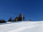 Osthanglift - Sleeplift met T-beugel/Ankerlift