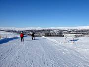 Piste nr. 36 Pelikanen