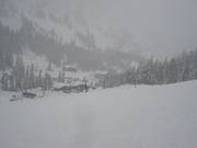 Dalafdaling Alpental