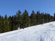 Smrk - Sleeplift met T-beugel/Ankerlift