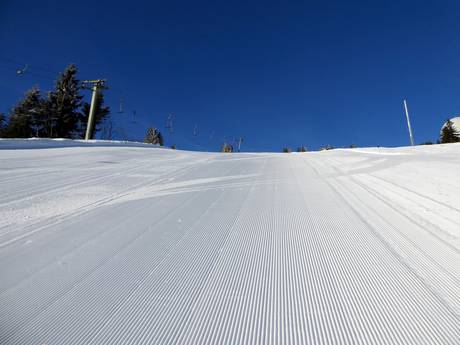 Pistepreparatie Zuid-Duitsland – Pistepreparatie Arber